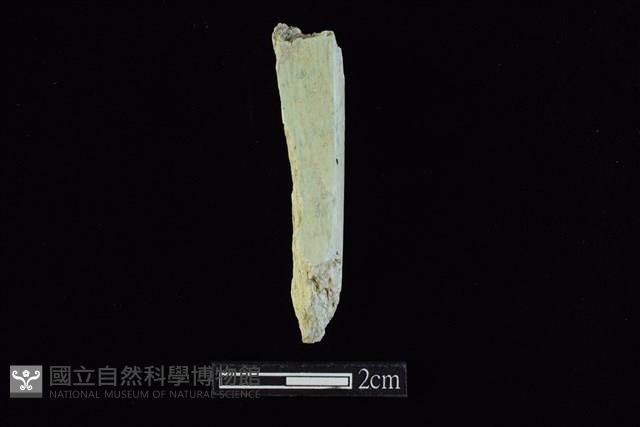 錛鑿形器藏品圖，第1張