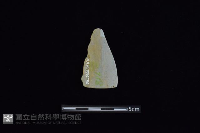 矛鏃形器藏品圖，第2張