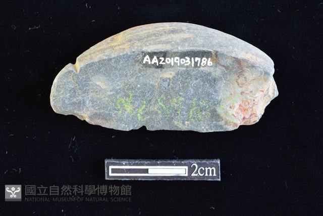 網墜藏品圖，第2張