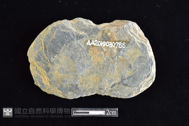 網墜藏品圖，第2張