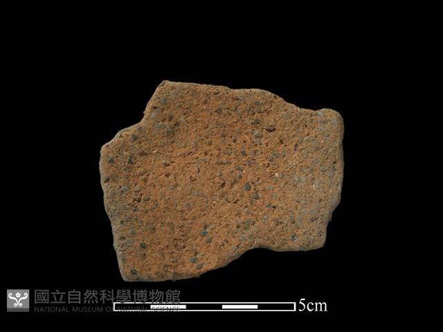 陶片藏品圖，第2張