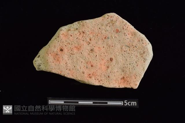 陶片藏品圖，第2張