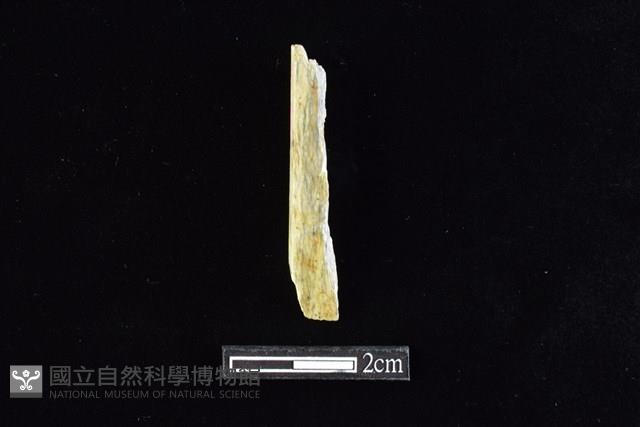 錛鑿形器藏品圖，第1張