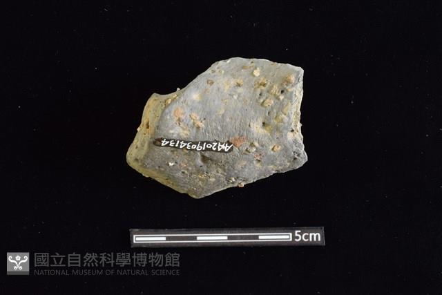 陶罐藏品圖，第2張