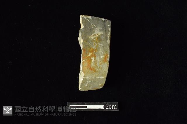 錛鑿形器藏品圖，第1張