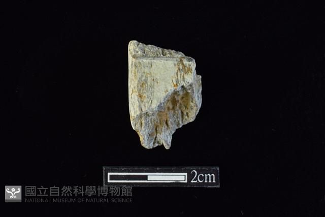 錛鑿形器藏品圖，第2張