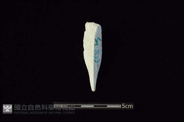 玉料藏品圖，第2張