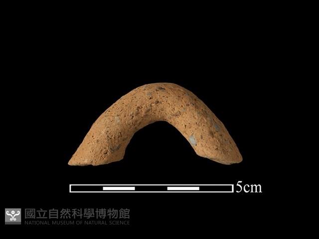 陶把藏品圖，第1張