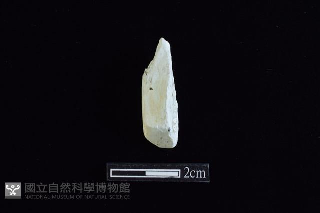 錛鑿形器藏品圖，第1張