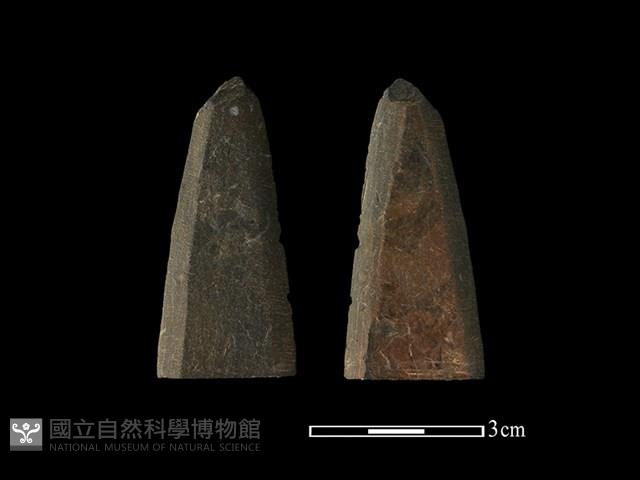 矛鏃形器藏品圖，第1張