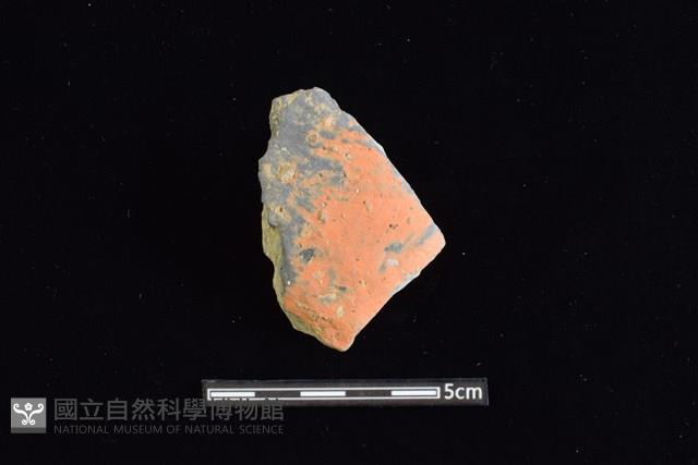 陶片藏品圖，第1張