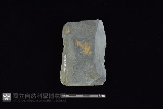 戈形器藏品圖，第2張