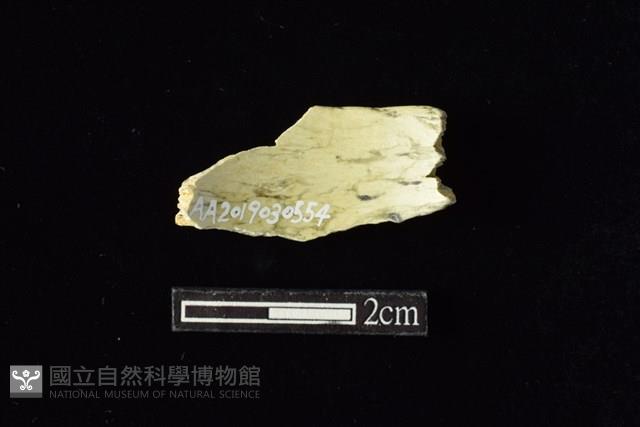 玉環藏品圖，第2張