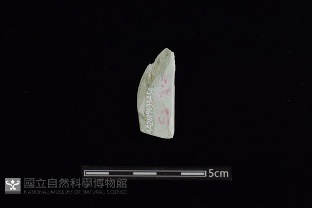 玉料藏品圖，第2張