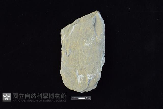 斧鋤形器藏品圖，第2張