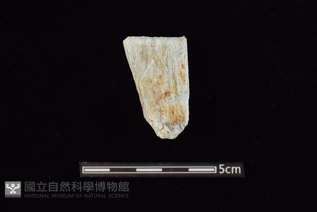 錛鑿形器藏品圖，第1張