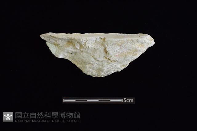 玉料藏品圖，第2張