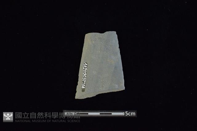 矛鏃形器藏品圖，第2張