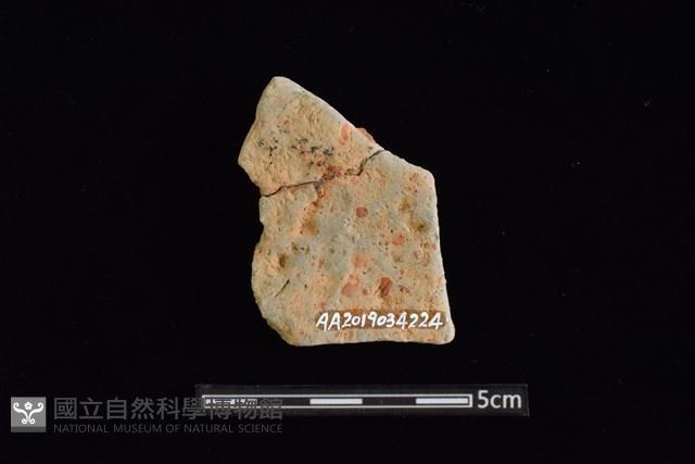 陶片藏品圖，第2張