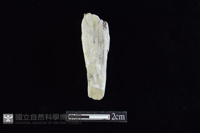錛鑿形器藏品圖，第1張