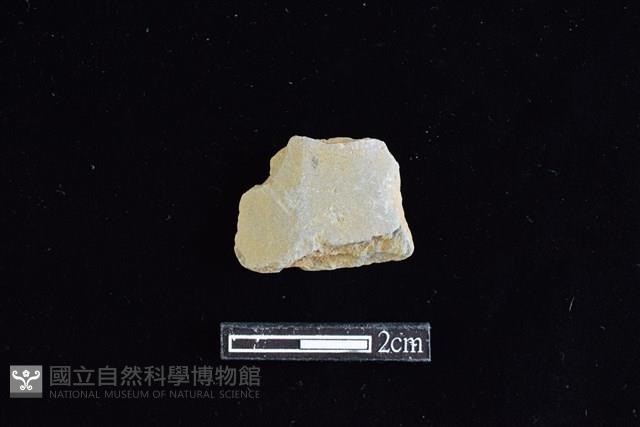 矛鏃形器藏品圖，第1張