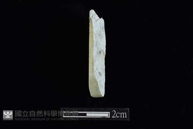 錛鑿形器藏品圖，第1張