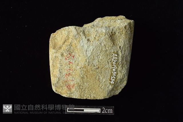 錛鑿形器藏品圖，第2張