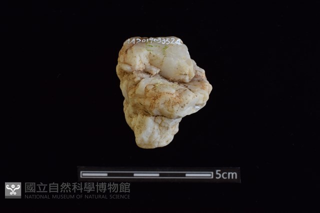 石材藏品圖，第2張