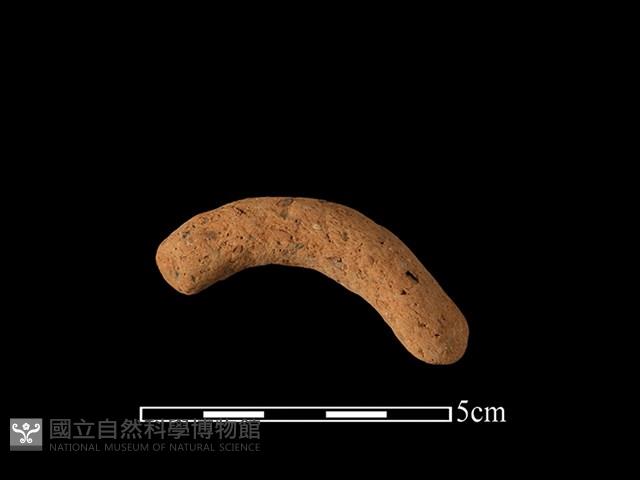 陶把藏品圖，第1張