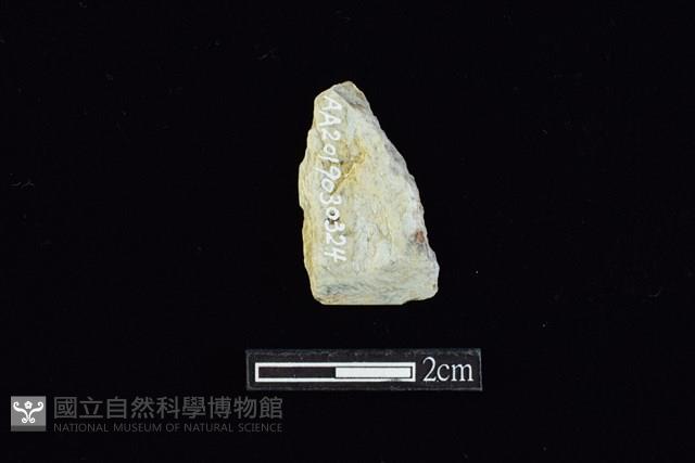 錛鑿形器藏品圖，第1張