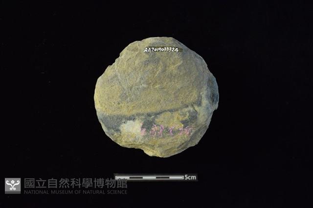 石圓片藏品圖，第2張