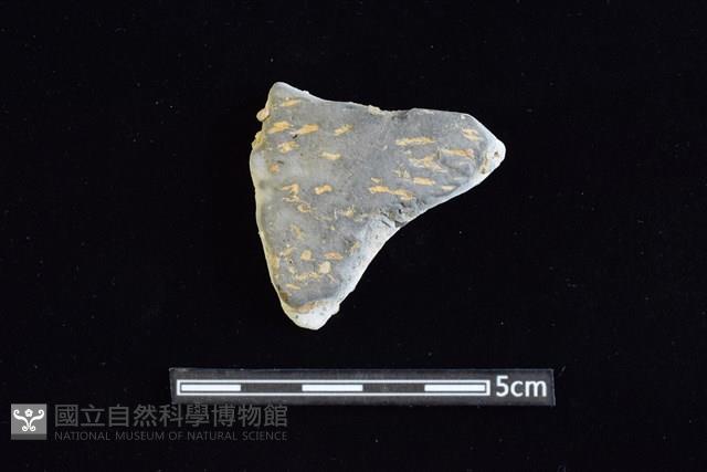 陶片藏品圖，第1張