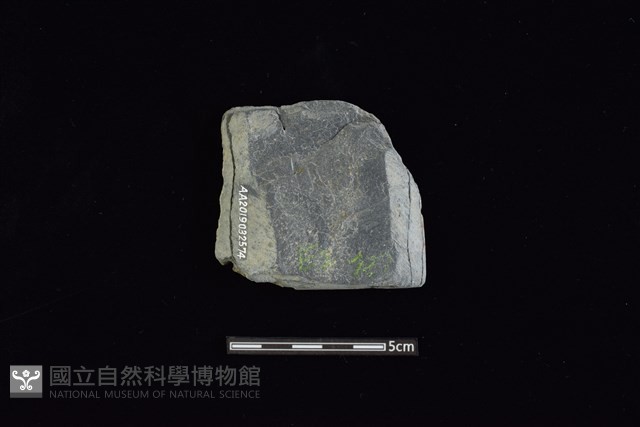 戈形器藏品圖，第2張