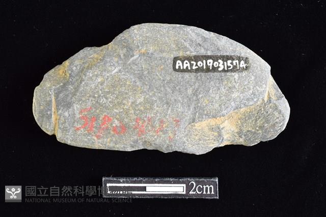 網墜藏品圖，第2張