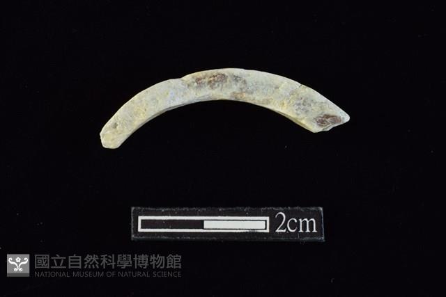 玉料藏品圖，第2張