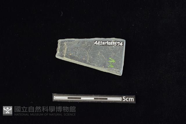 石材藏品圖，第2張