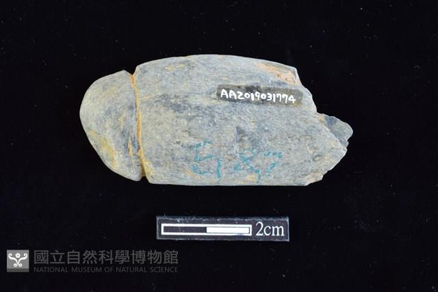 網墜藏品圖，第2張