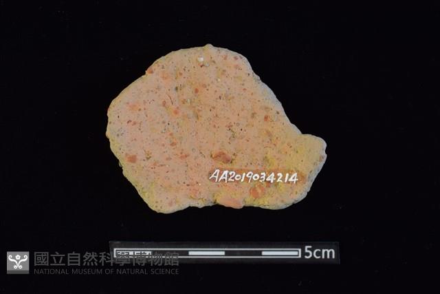 陶片藏品圖，第2張