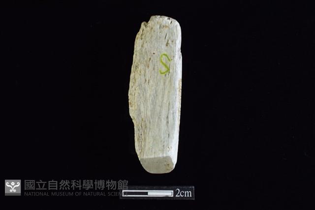 錛鑿形器藏品圖，第1張