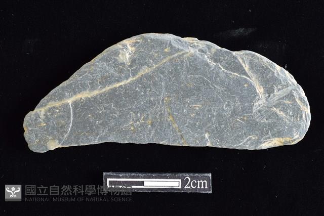 網墜藏品圖，第2張