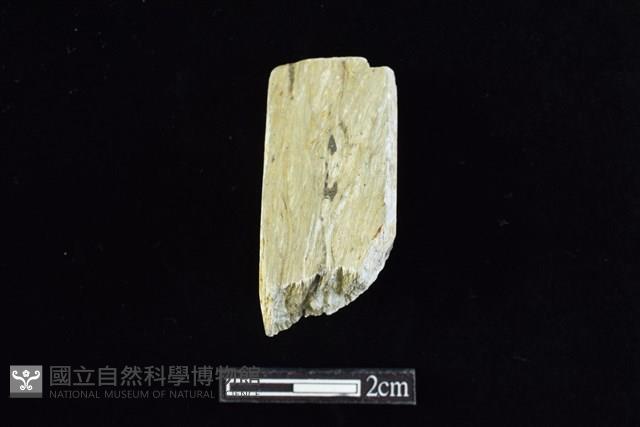 錛鑿形器藏品圖，第2張