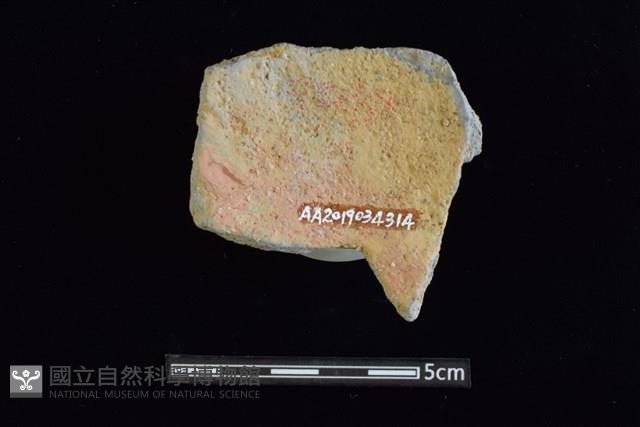 陶片藏品圖，第2張