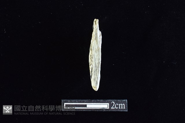 錛鑿形器藏品圖，第2張