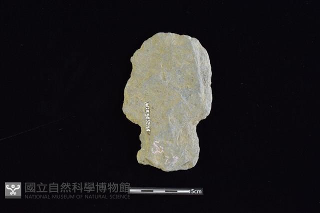 斧鋤形器藏品圖，第2張