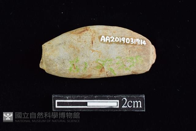 網墜藏品圖，第2張