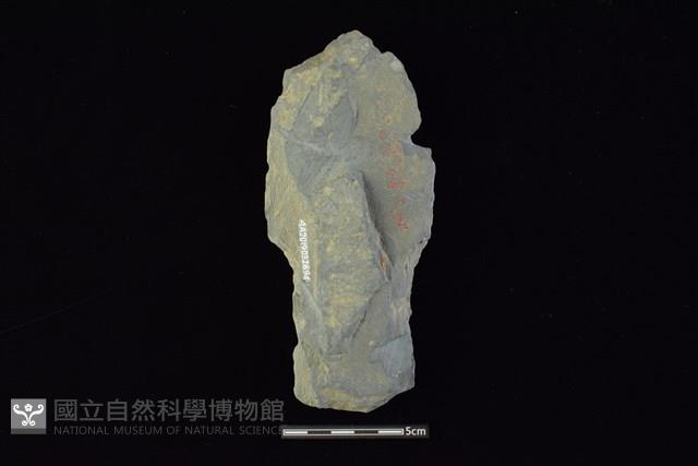 戈形器藏品圖，第2張