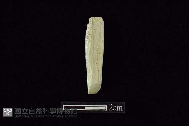 錛鑿形器藏品圖，第1張