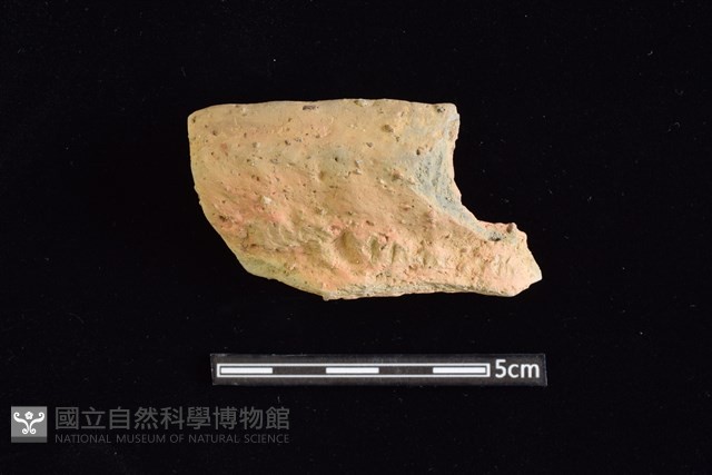 陶罐藏品圖，第1張