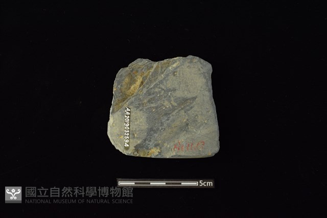 戈形器藏品圖，第2張