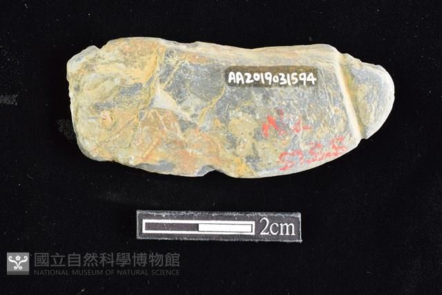 網墜藏品圖，第2張